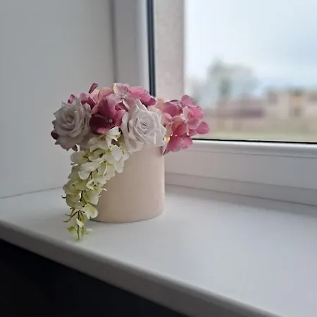 2bedroom In Gulbiu Street *