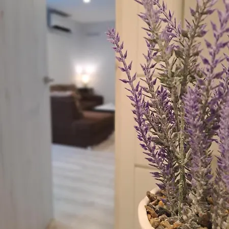 2bedroom In Gulbiu Street Apartment *